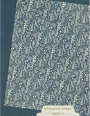 Graphic 45 8.5x11 Adventure Awaits Patterns & Solids Collection Pack {B123}