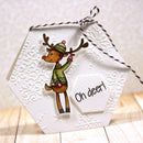 Pink & Main Nested Hexagon Dies {X101}