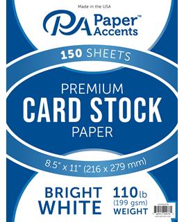 Paper Accents Premium Cardstock {B713}