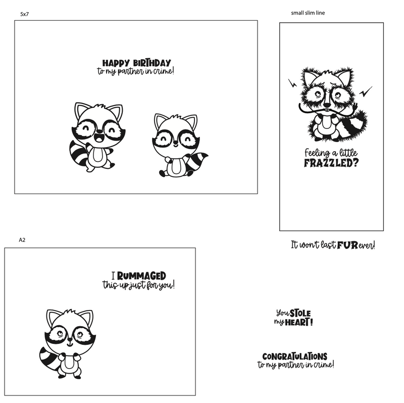 Maymay's Rascally Raccoon 4x6 Stamp Set {A274}