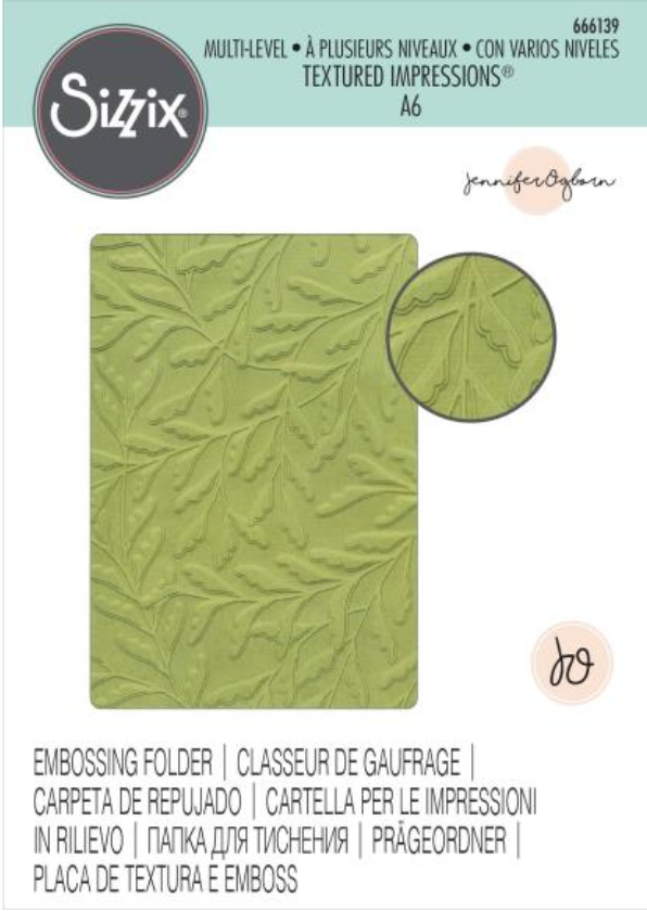 Sizzix Delicate Leaves Multi Level Textured Embossing Folder {W02-W03}